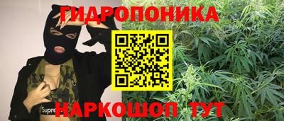 мяу мяу мука Будённовск