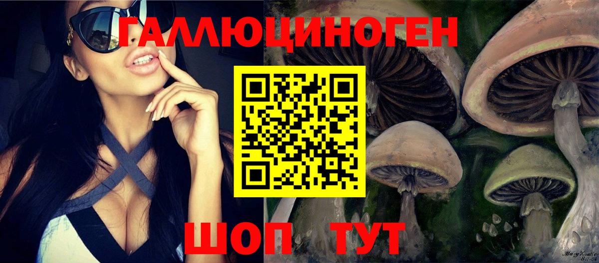 Галлюциногенные грибы прущие грибы  Галлюциногенные грибы мухоморы  Саяногорск  Вход с VPN 