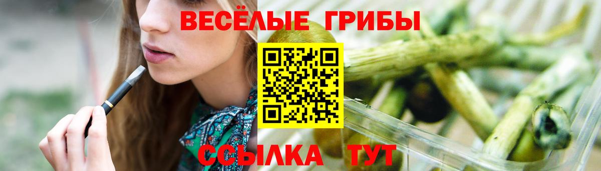 Галлюциногенные грибы Psilocybine cubensis Саяногорск